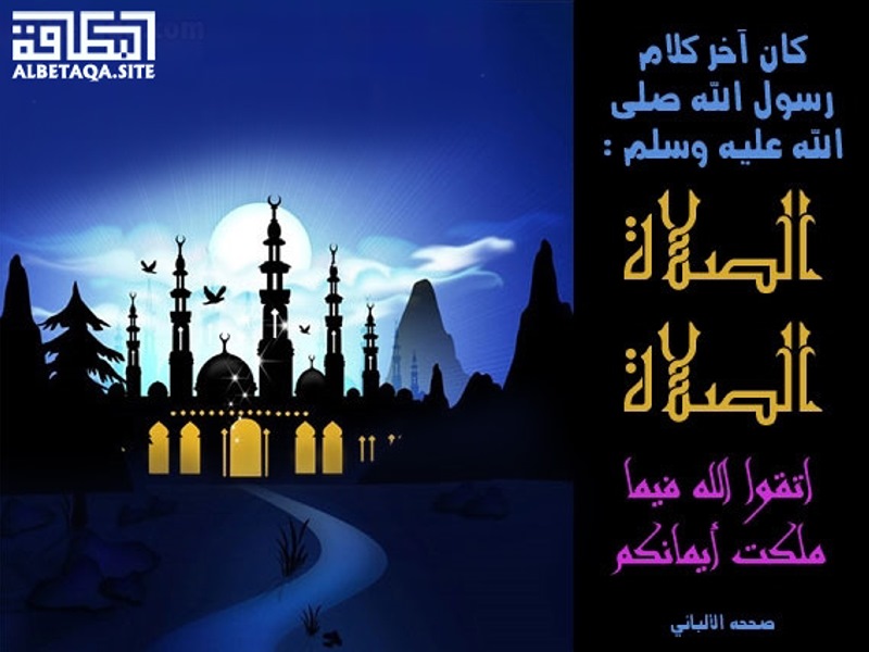 ملكت أيمانكم الصلاة وما الصلاة الصلاة .