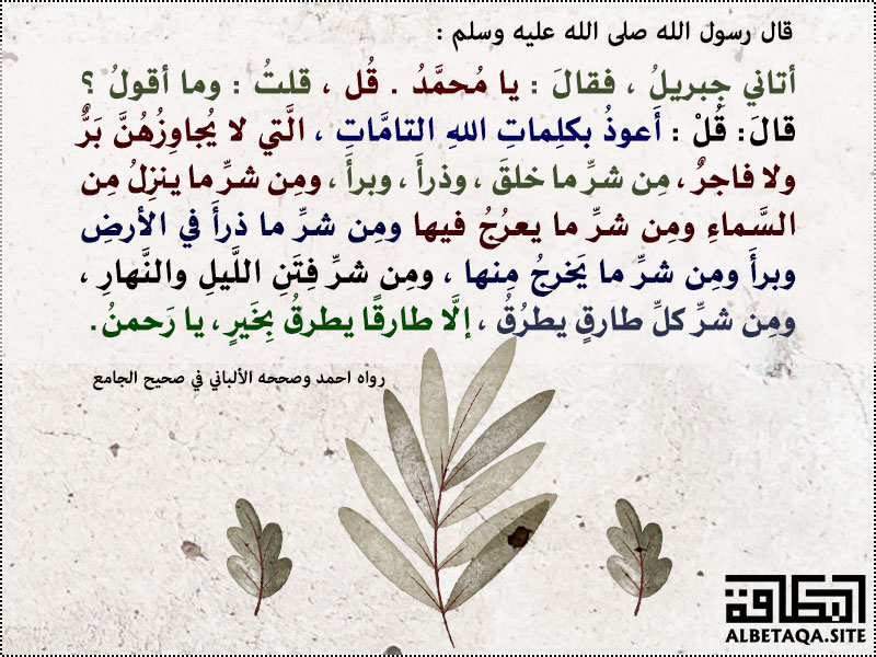 أعوذ بوجه الله العظيم المغامسي