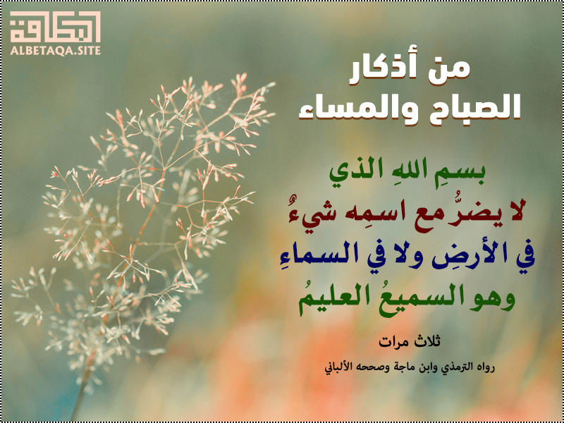 نقره لعرض الصورة في صفحة مستقلة