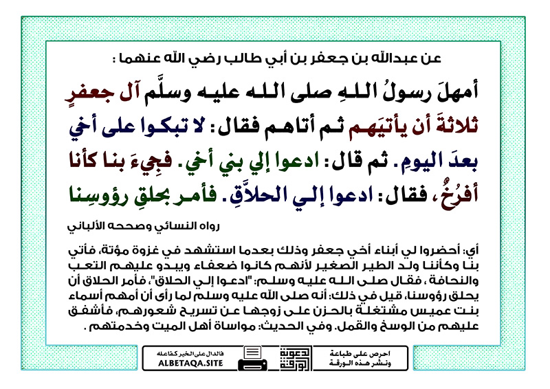 جعفر بن أبي طالب رضي الله عنه موقع البطاقة الدعوي