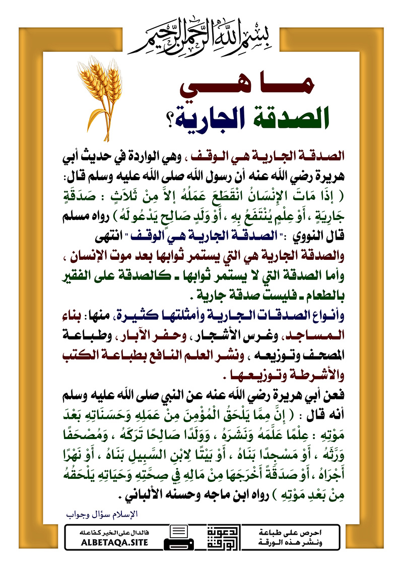 p-zkahwsdqa041.jpg