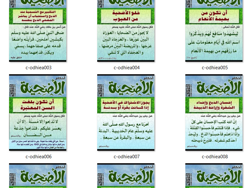 https://www.albetaqa.site/images/slasel/m/odhiea.jpg