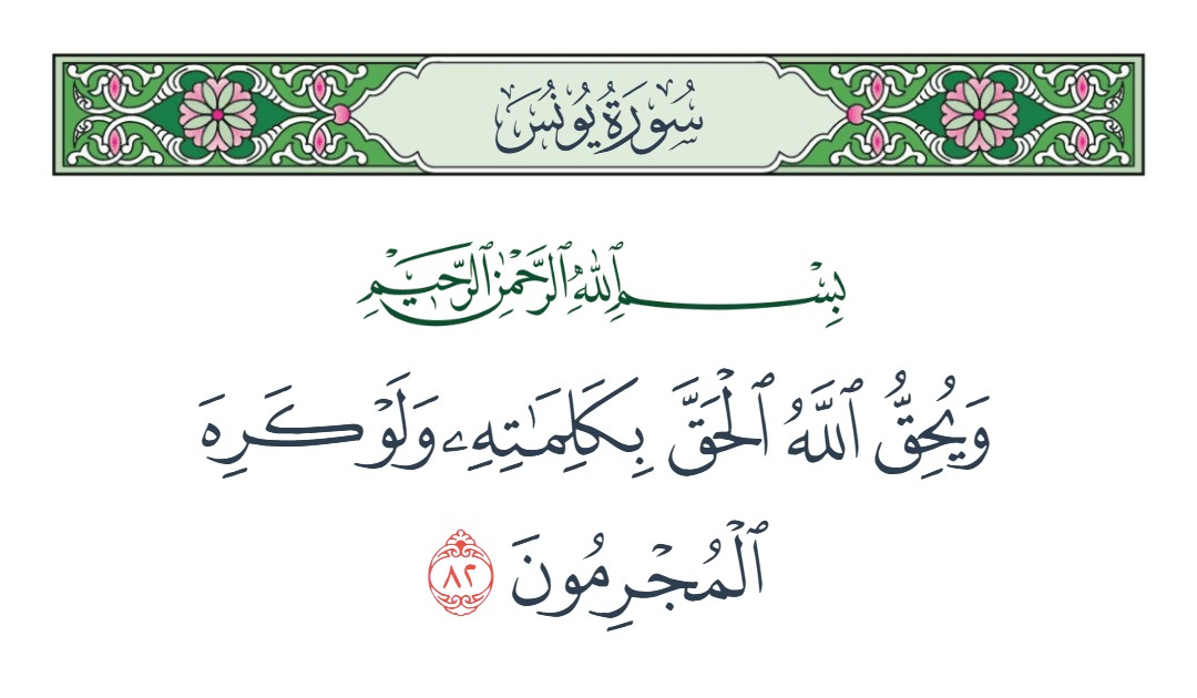 فيديو ويحق الله الحق بكلماته ولو كره المجرمون 