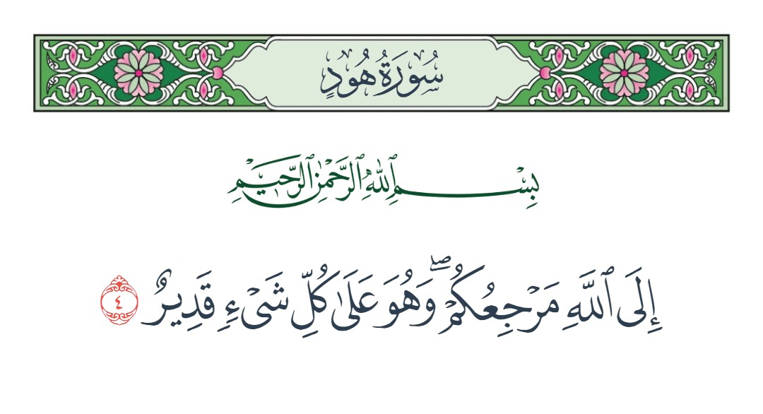 فيديو إلى الله مرجعكم وهو على كل شيء قدير 