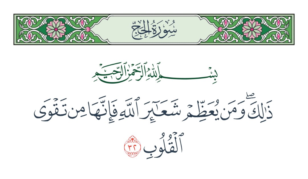 فيديو ذلك ومن يعظم شعائر الله فإنها من تقوى القلوب 