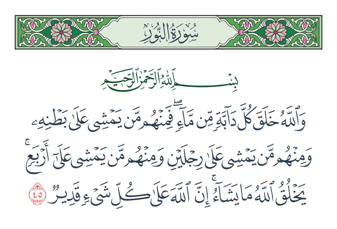 فيديو والله خلق كل دابة من ماء