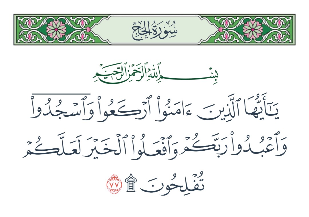 فيديو اركعوا واسجدوا واعبدوا ربكم وافعلوا الخير
