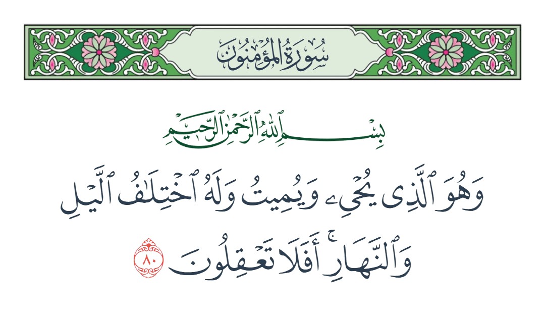 فيديو وهو الذي يحيي ويميت وله اختلاف الليل والنهار