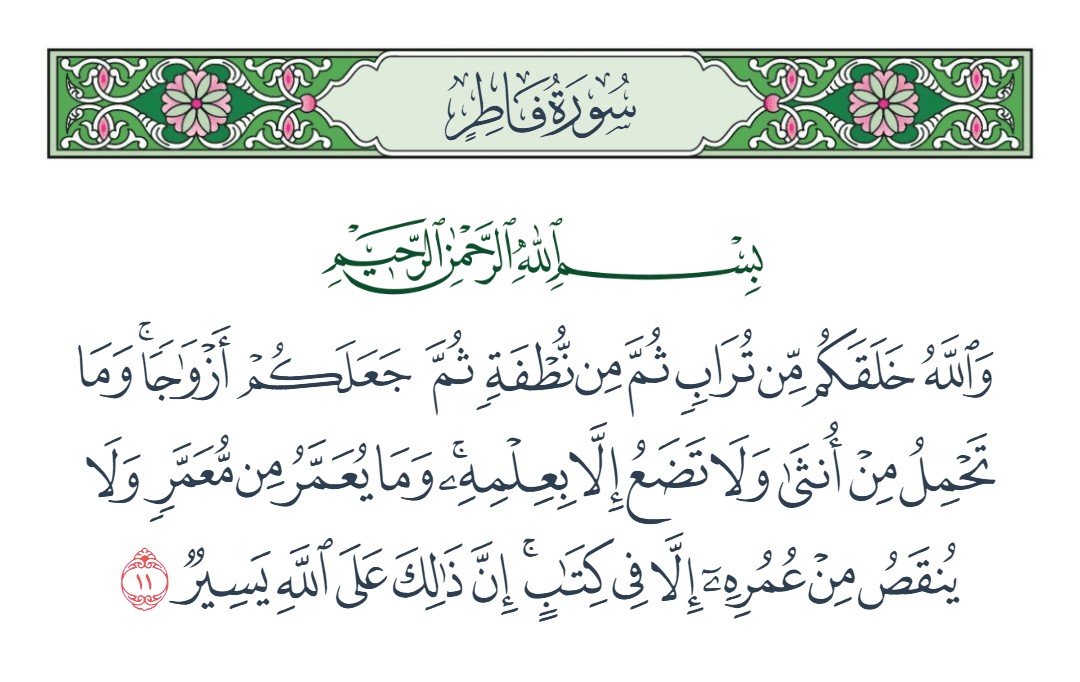 فيديو والله خلقكم من تراب ثم من نطفة