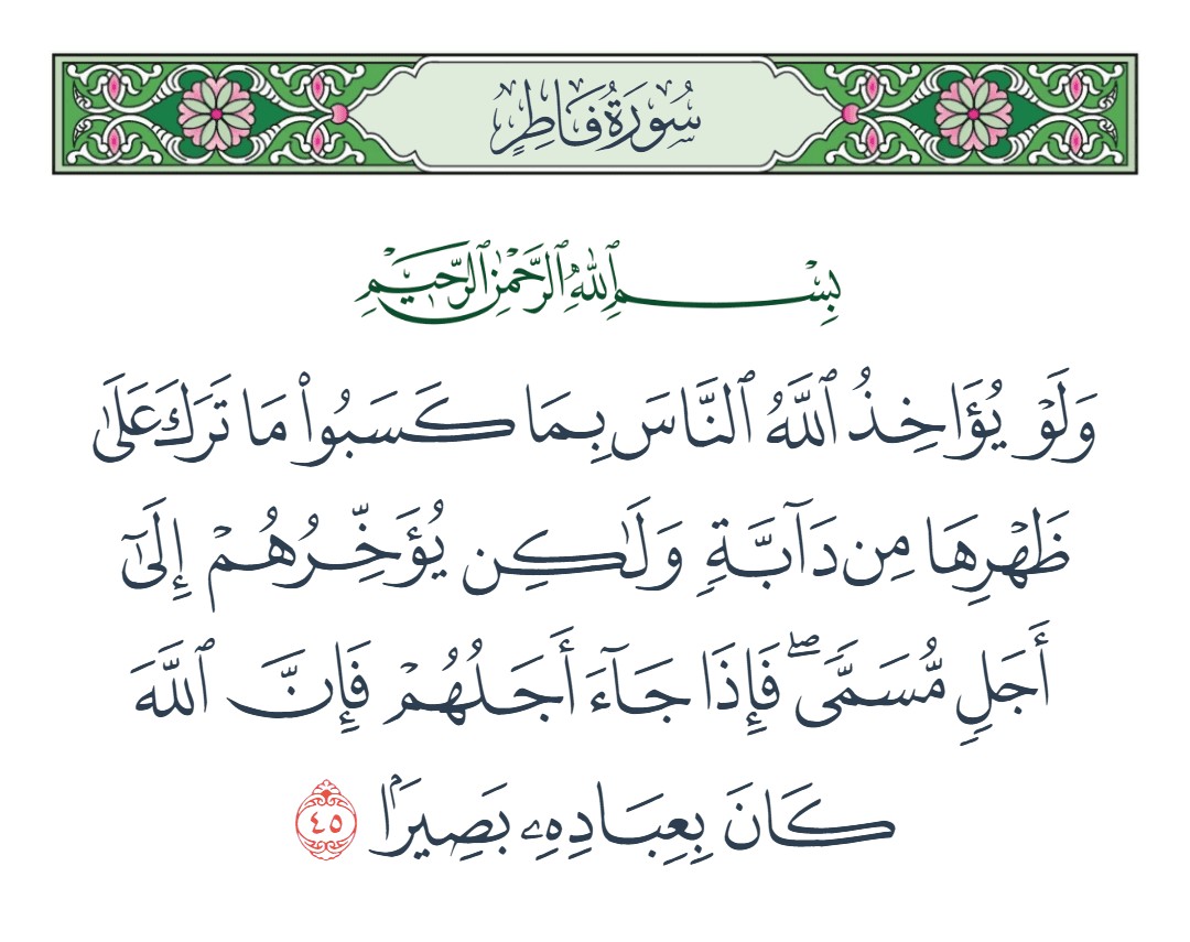 فيديو ولو يؤاخذ الله الناس بما كسبوا ما ترك على ظهرها من دابة