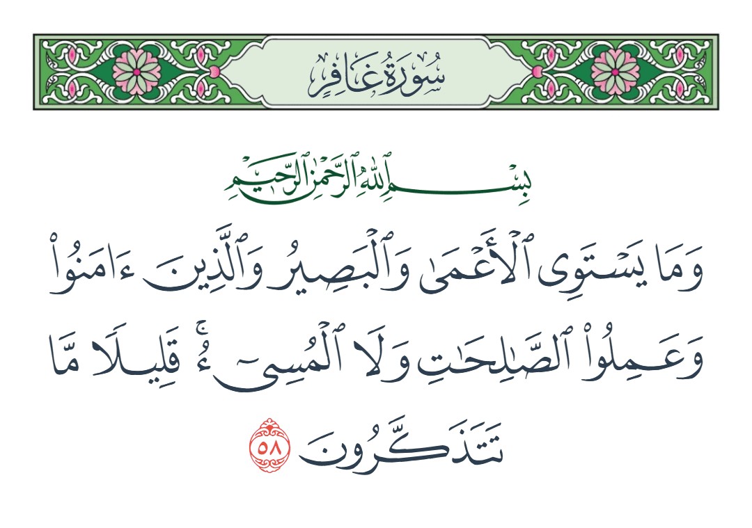 فيديو وما يستوي الأعمى والبصير