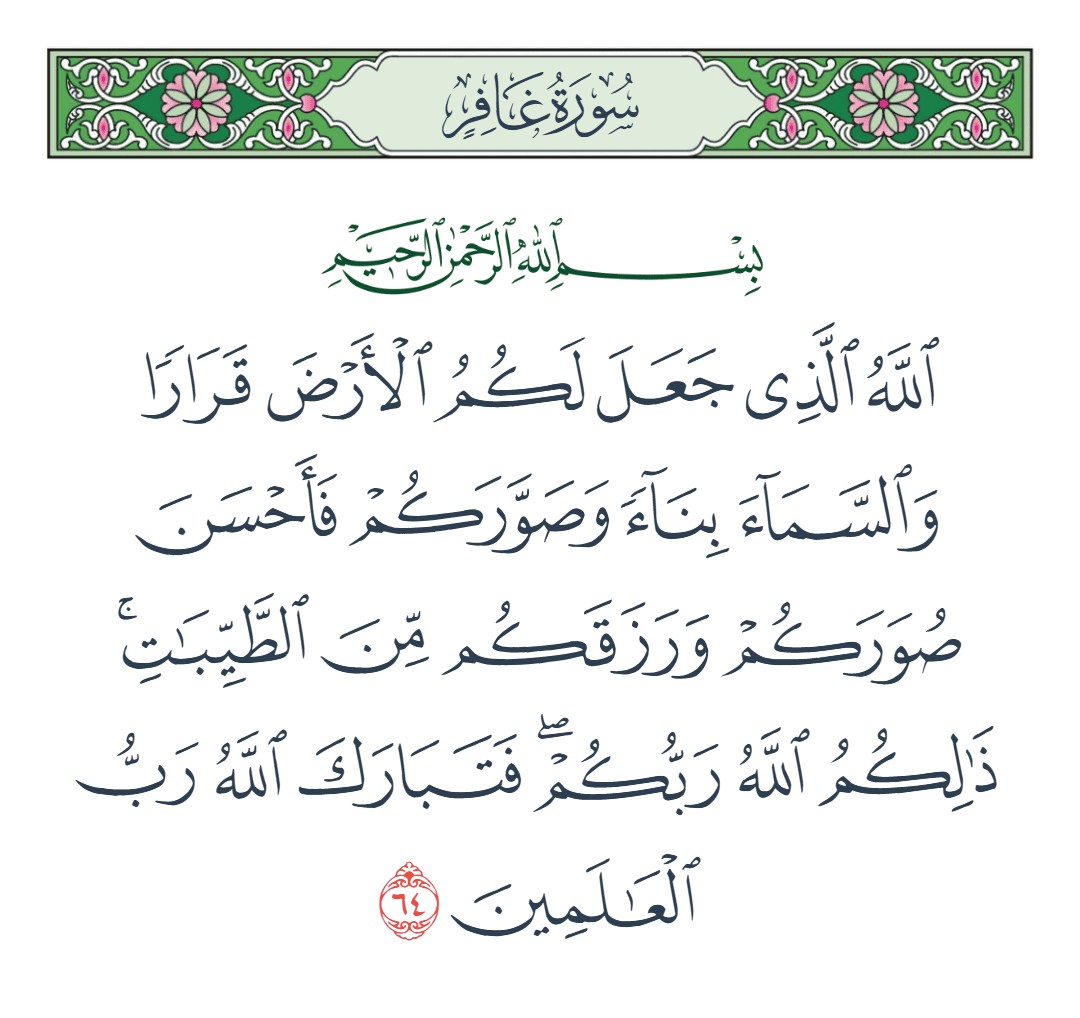 فيديو الله الذي جعل لكم الأرض قرارا والسماء بناء