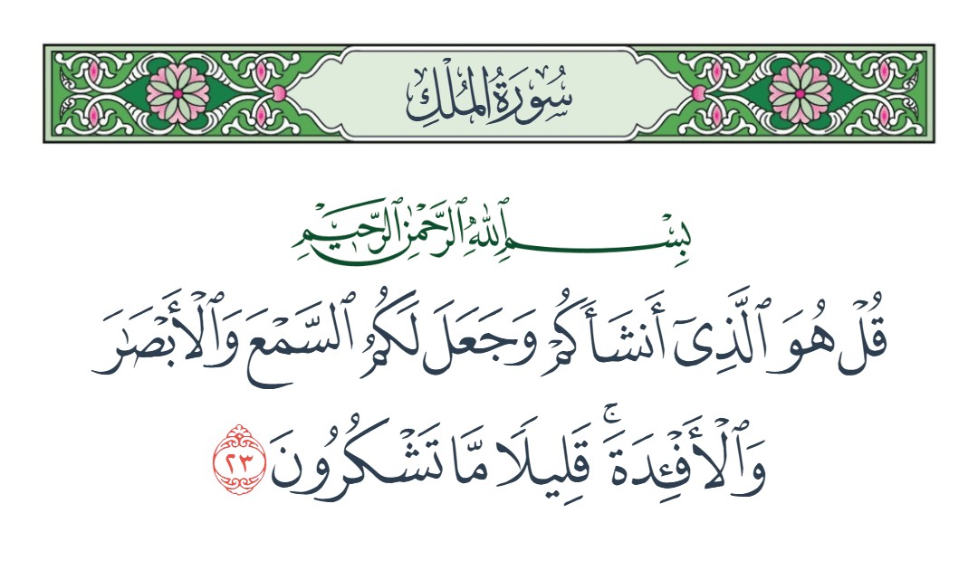 فيديو وجعل لكم السمع والأبصار والأفئدة