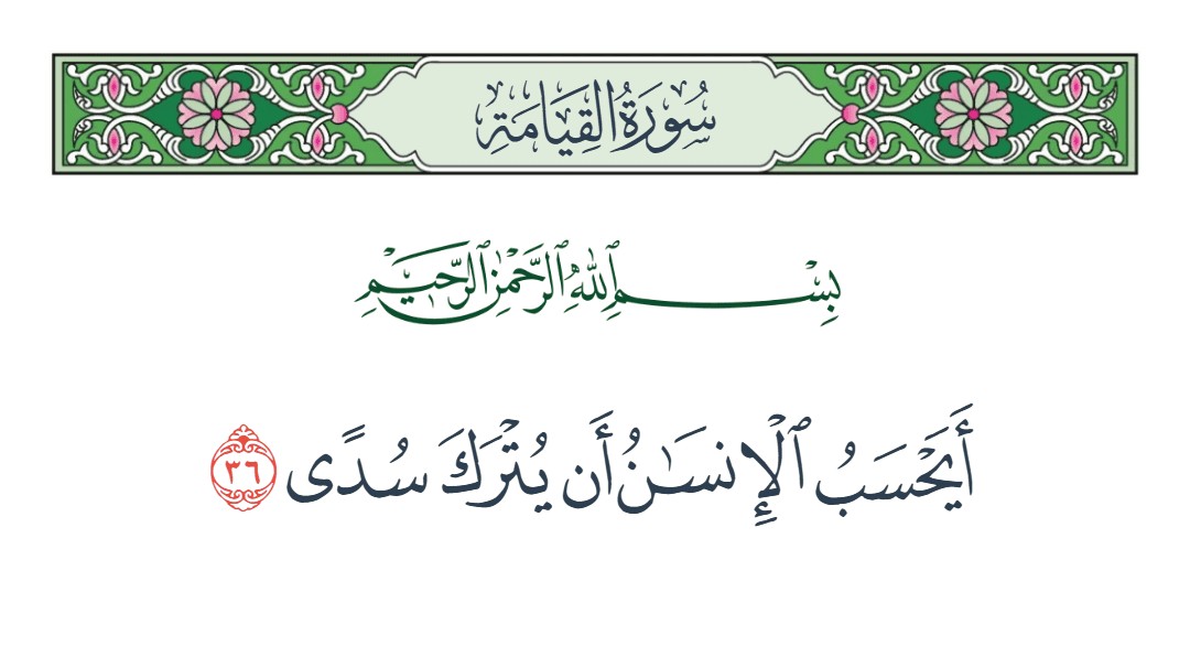 فيديو أيحسب الإنسان أن يترك سدى 