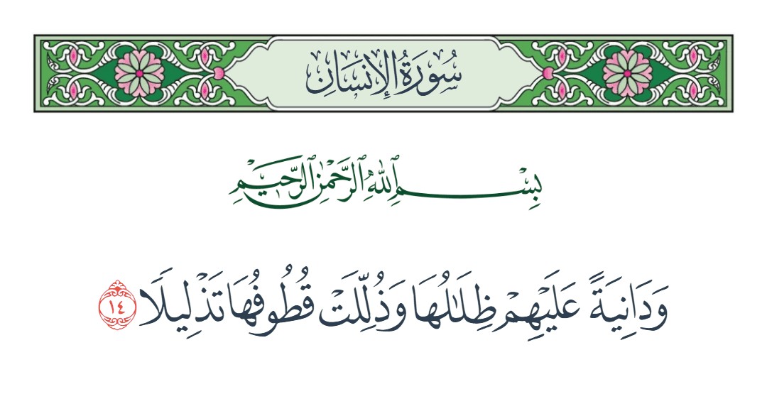 فيديو ودانية عليهم ظلالها وذللت قطوفها تذليلا 