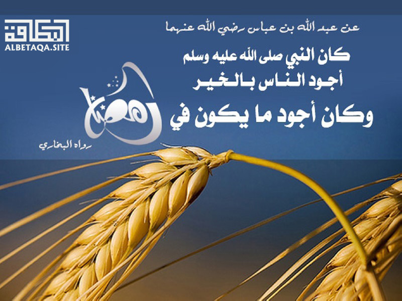 فهرس البيانات الاجتماعية البيتقا 16موسمخير 02رمضان04